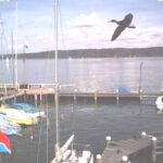 Die automatische Webcam an der Schule liefert alle 15 Min. ein Bild vom Treiben an den Stegen. So erwischte sie die beiden Enten! Ein echter Schnappschuss!