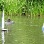 Die Segler haben genügend Platz auf dem Teich.