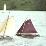 Begegnung auf See - WEISSER SCHWAN von Günter Knoblich und ??