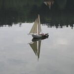 DE SILVERNE SWAN