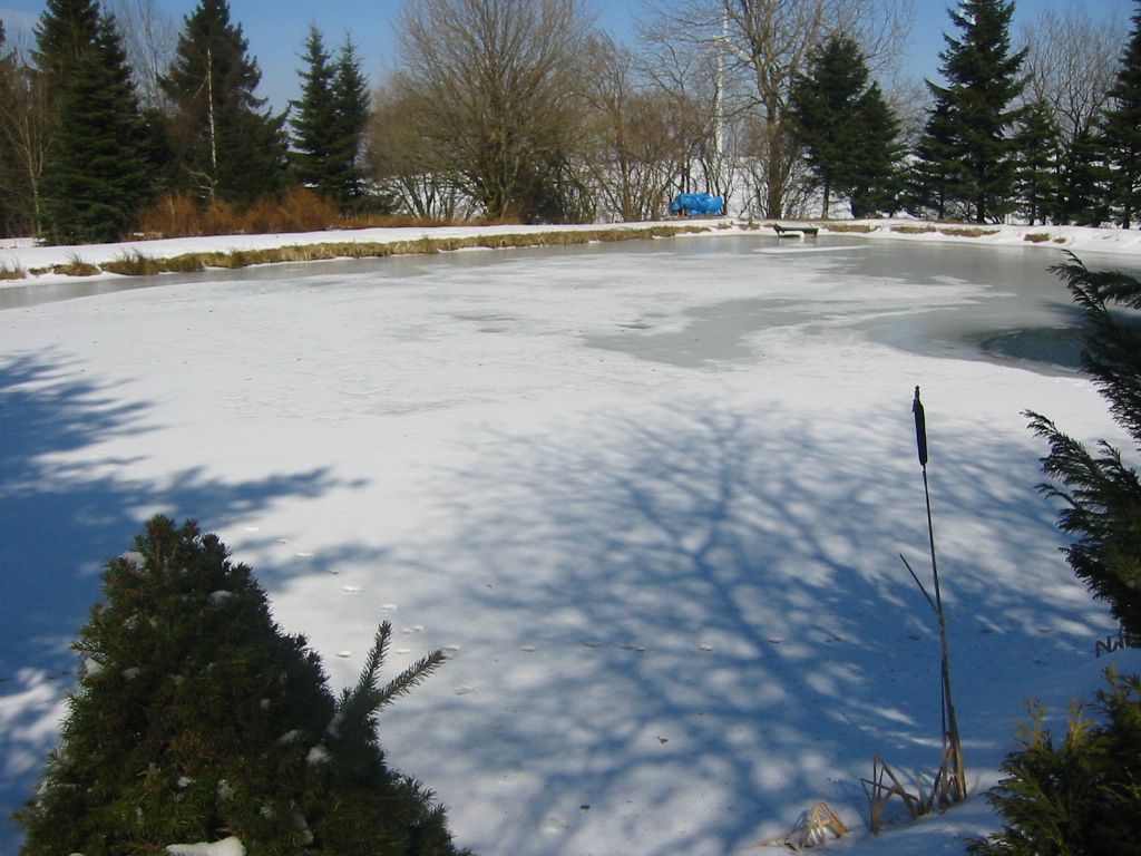 Eissegler hätten eine Chance - aber Modellboote???